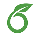 Overleaf