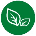 李陌茶