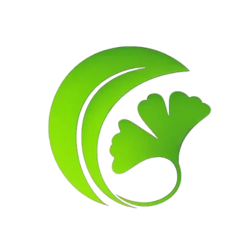 白果AI论文