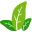 clean png