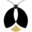 赢火虫