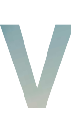 Vision TV