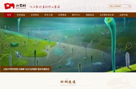 化石网