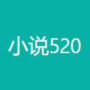 小说520