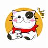 猫番阅读