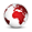 彦德国际 (InCorp International)