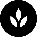 Curated Design