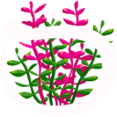 ScapeCrunch