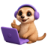 Peekaping