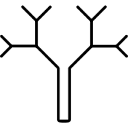 OpeningTree