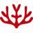 CoralGlobal 珊瑚跨境