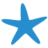 海星云游戏