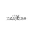 Temvideo (布尔向量)