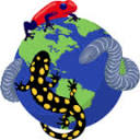AmphibiaWeb