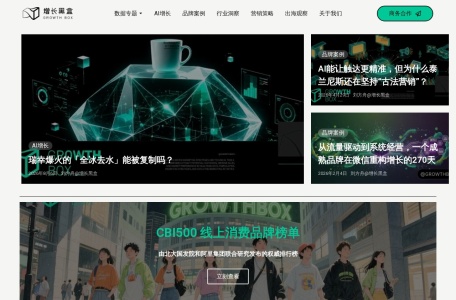 增长黑盒