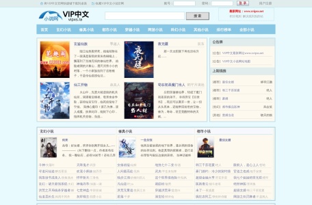 VIP中文小说网