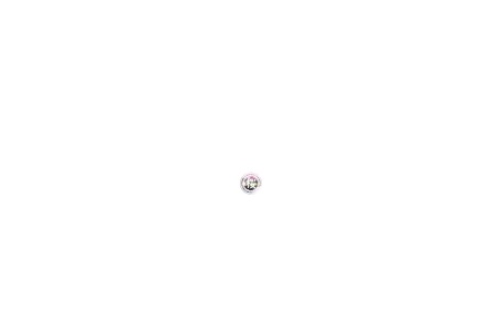桜舞动漫