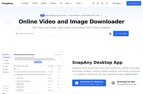 SnapAny视频图片解析