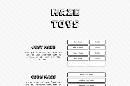Maze Toys