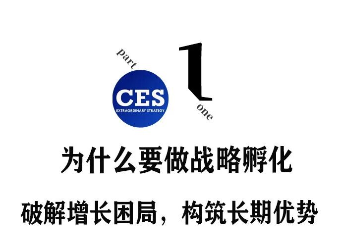 战略孵化:穿越周期的增长
