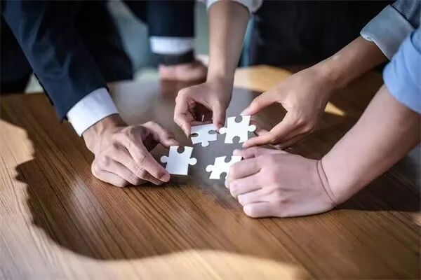 战略孵化:穿越周期的增长