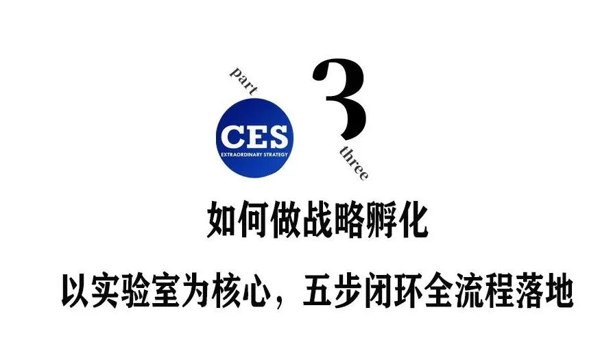 战略孵化:穿越周期的增长