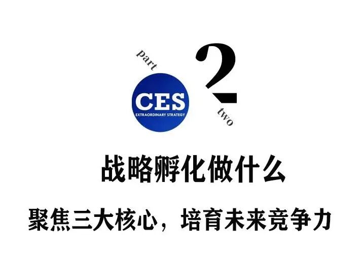 战略孵化:穿越周期的增长