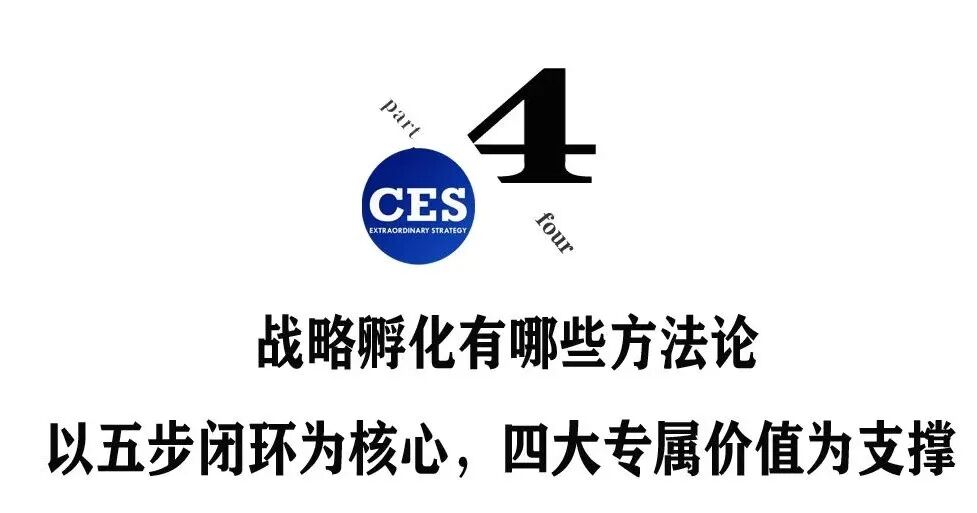 战略孵化:穿越周期的增长
