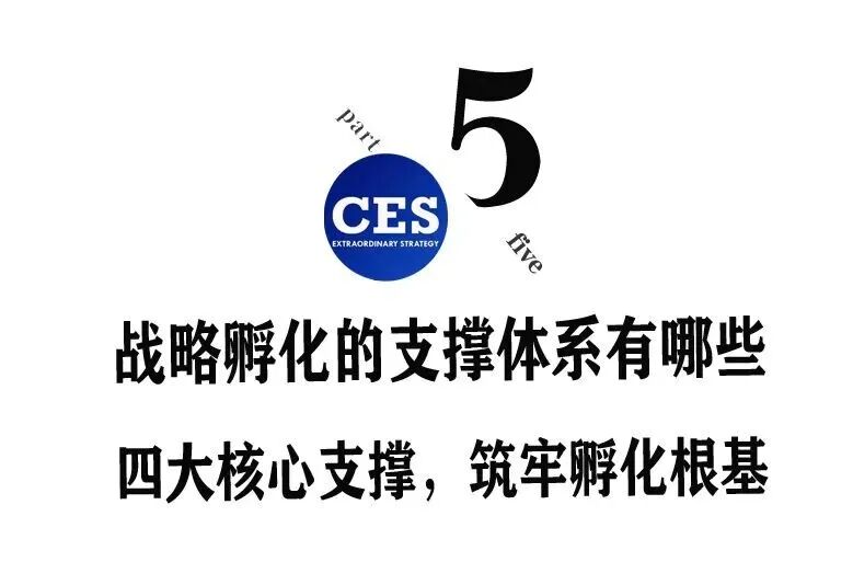战略孵化:穿越周期的增长