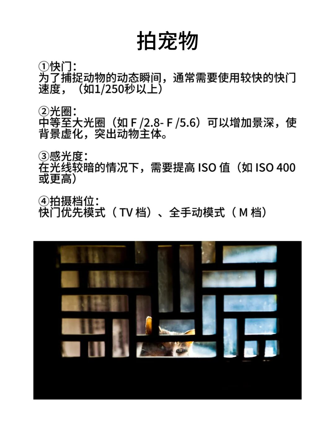 必学的9种摄影技巧,别再只会按快门了