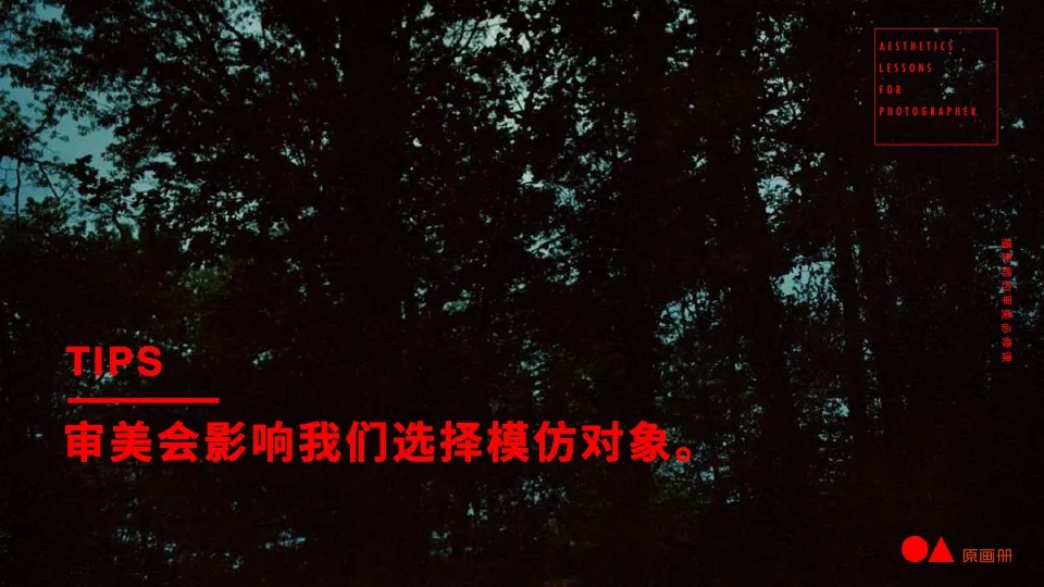 审美决定一切!给摄影师的审美必修课