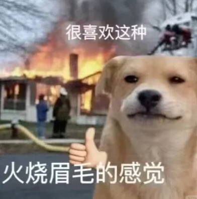 这八个常用的Excel办公技能,让我分分钟变厉害