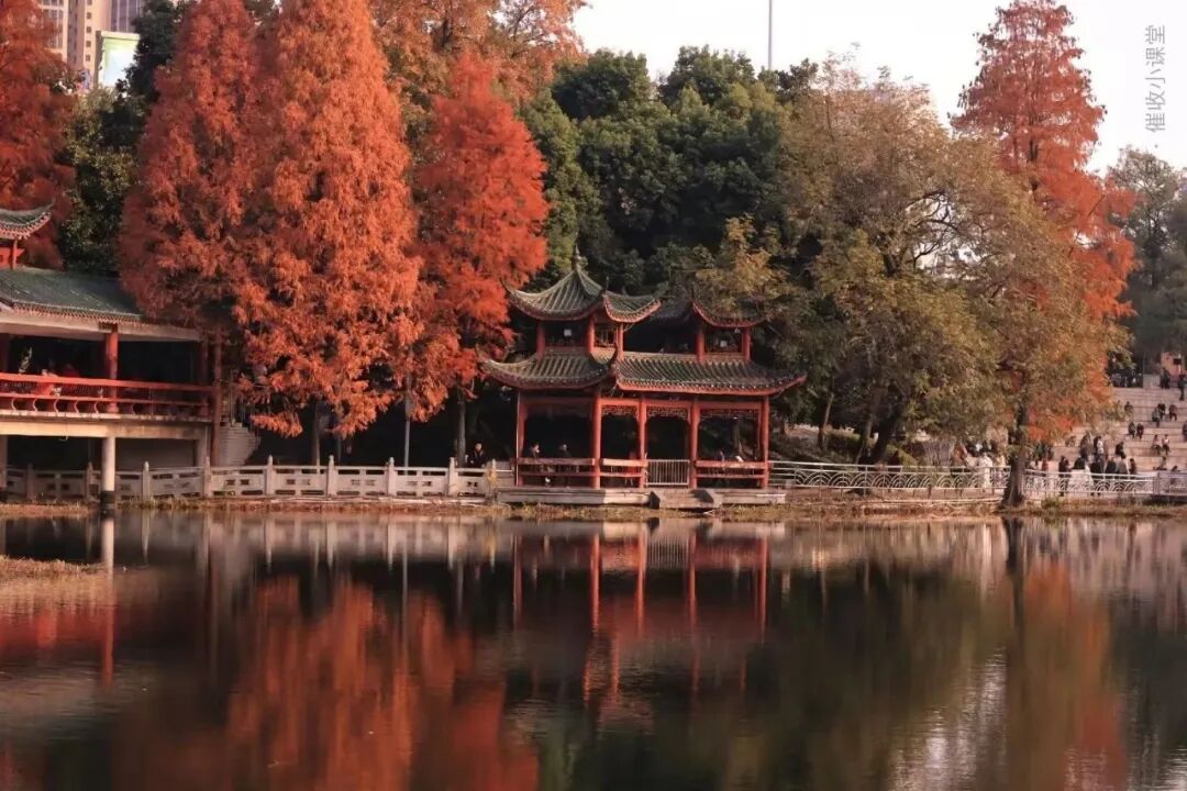 债务人说
