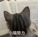 内推是什么?靠谱内推怎么找?怎么用?| 一篇彻底讲清