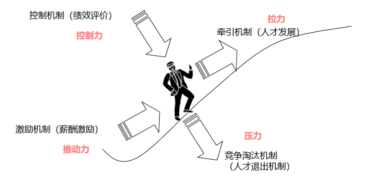 如何规划2026年人力资源工作?