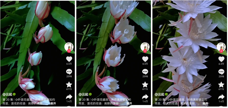 运营新手技能之新媒体视频制作拍摄基础