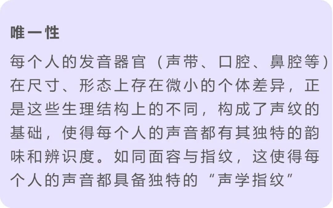 听音辨人?解析语音背后的身份真相