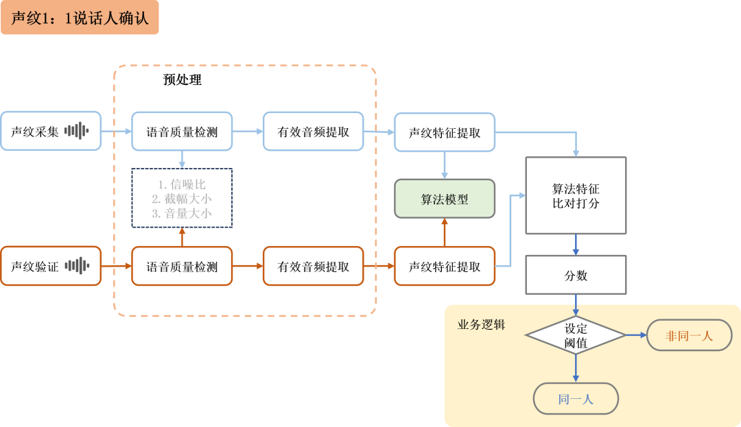 听音辨人?解析语音背后的身份真相