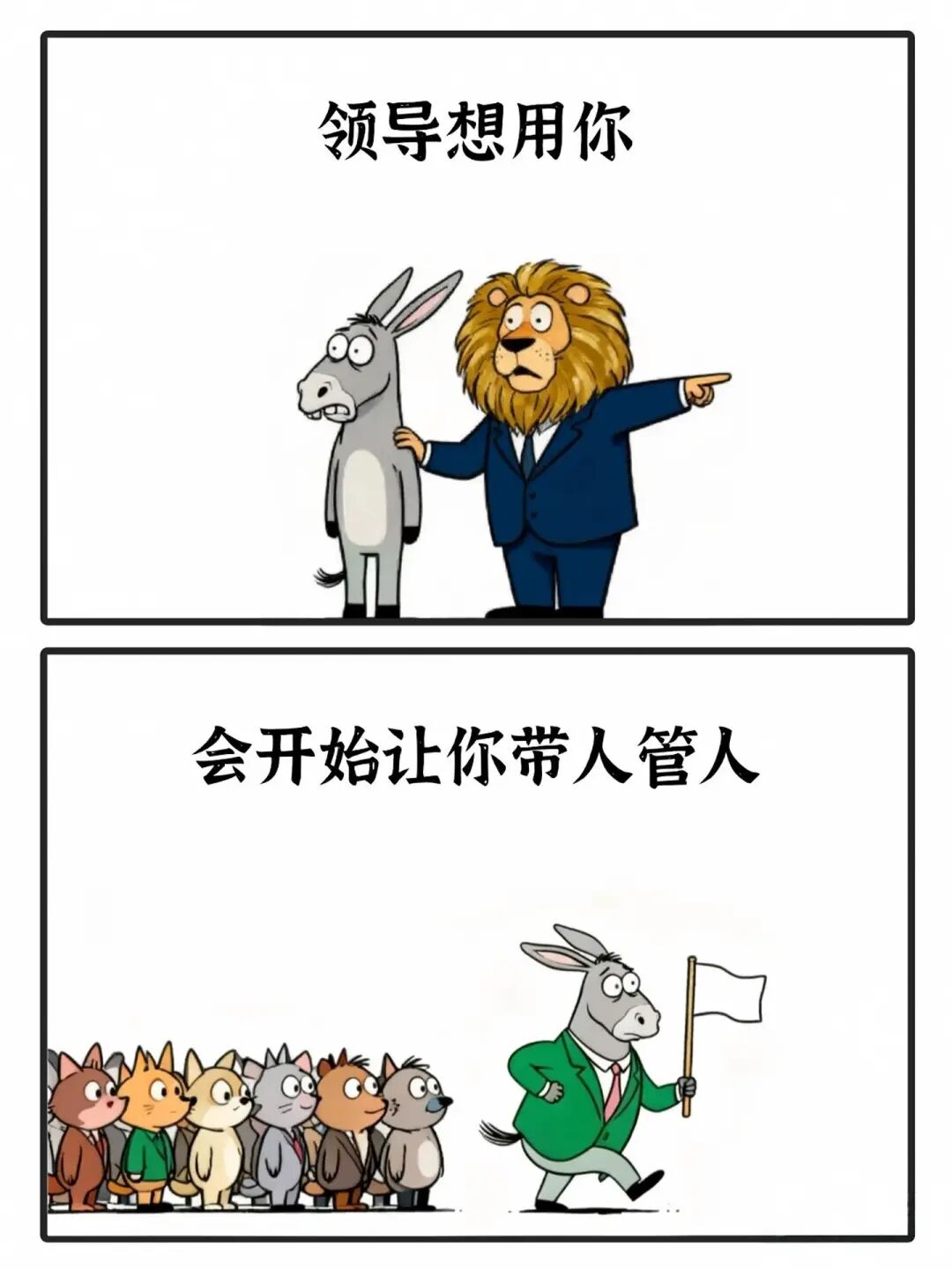 中层,是那个