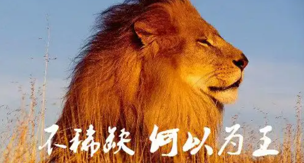 职场人,如何做完整的职业规划?